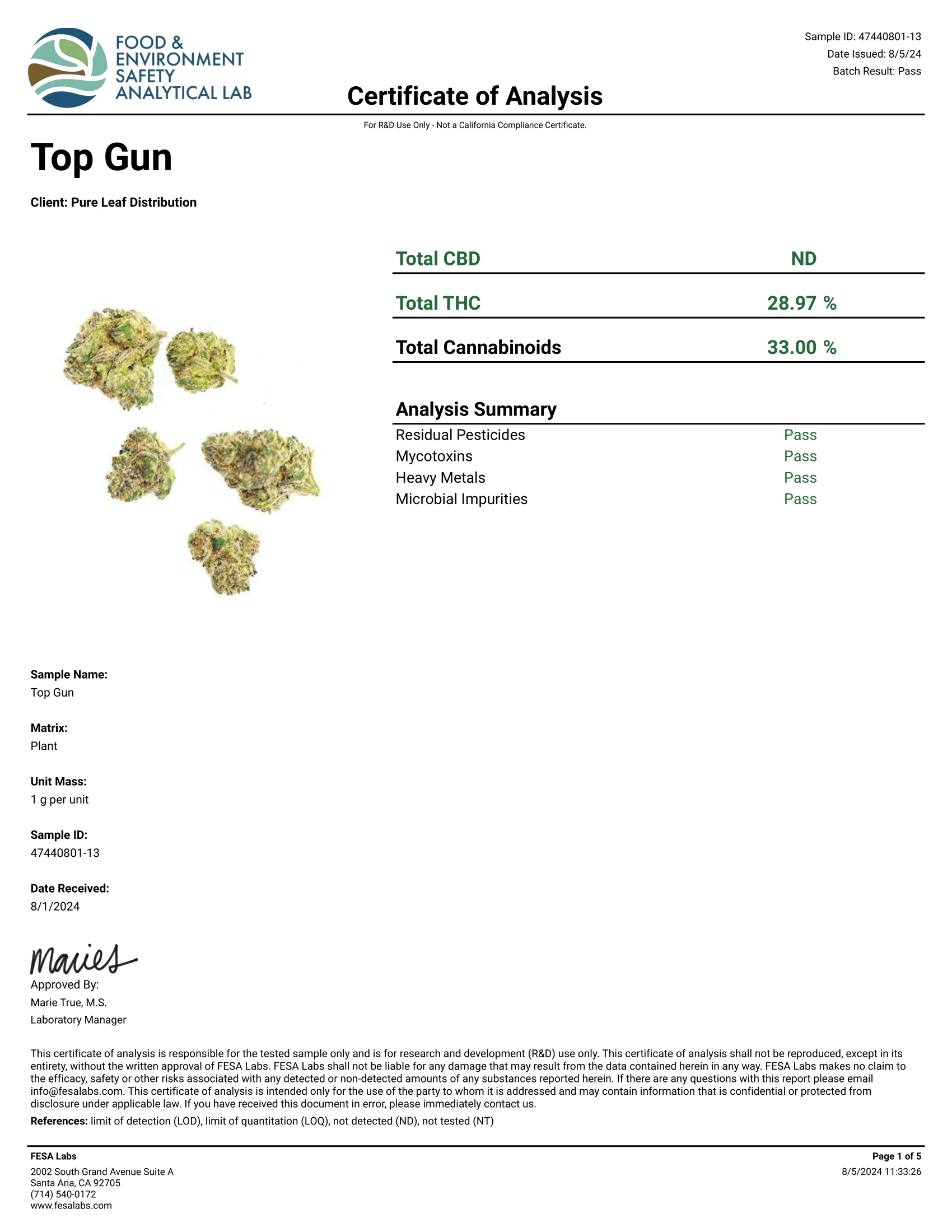 Top Gun COA Page 1