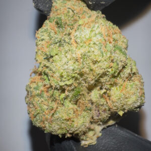 Colombian Gold - THCA Flower (Sativa)