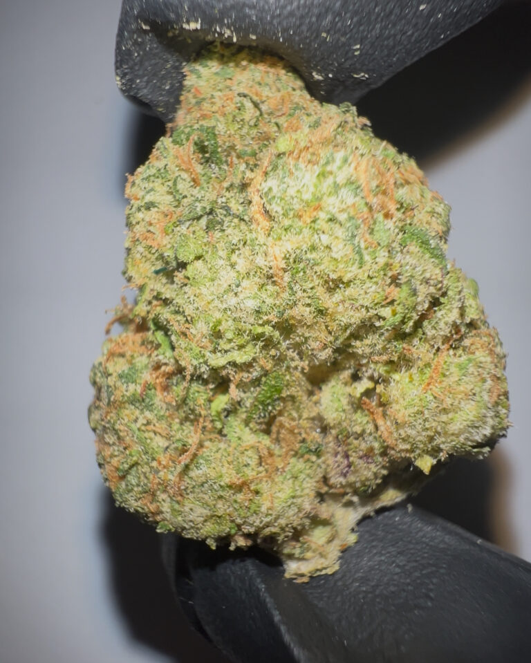 Colombian Gold - THCA Flower (Sativa)