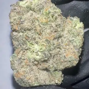 G-Force - THCA Flower (Indica)