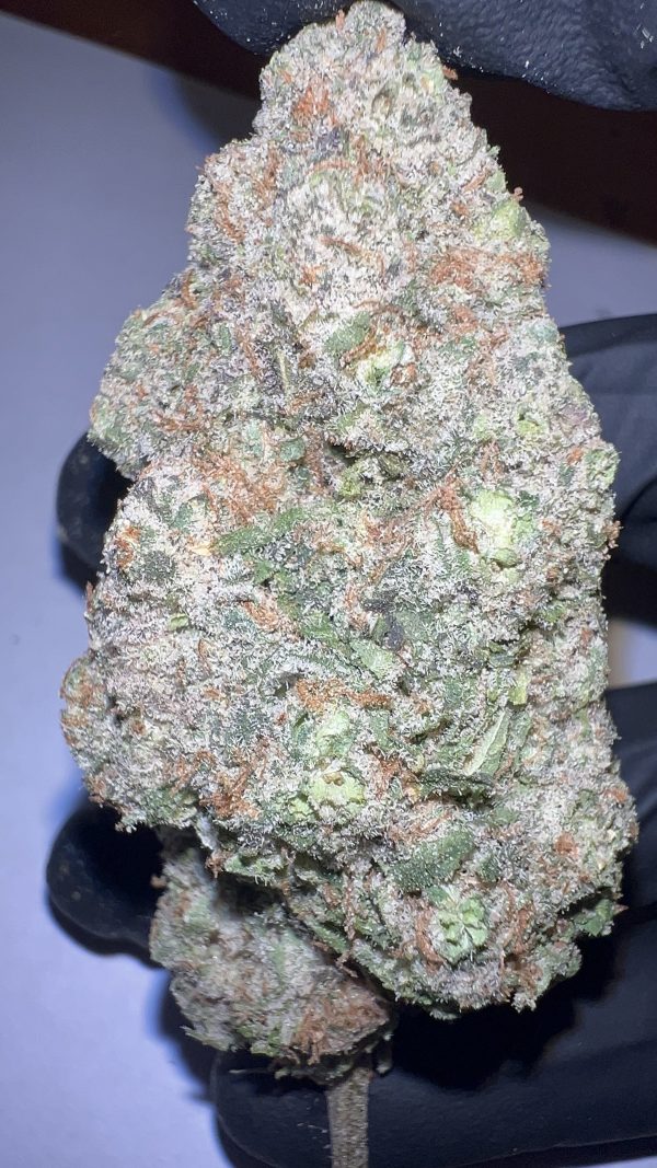 Colombian Gold - THCA Flower (Sativa)