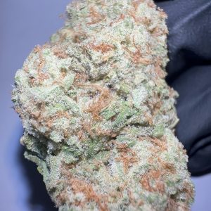 Colombian Gold - THCA Flower (Sativa)