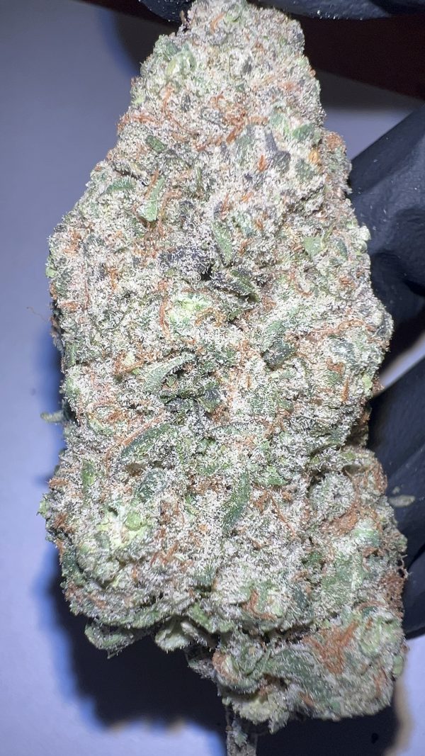 Colombian Gold - THCA Flower (Sativa) - Image 2