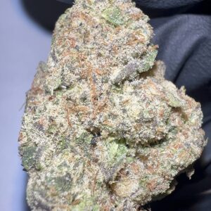 Panama Red - THCA Flower (Sativa)