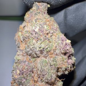 Scented Marker - THCA Flower (Hybrid)