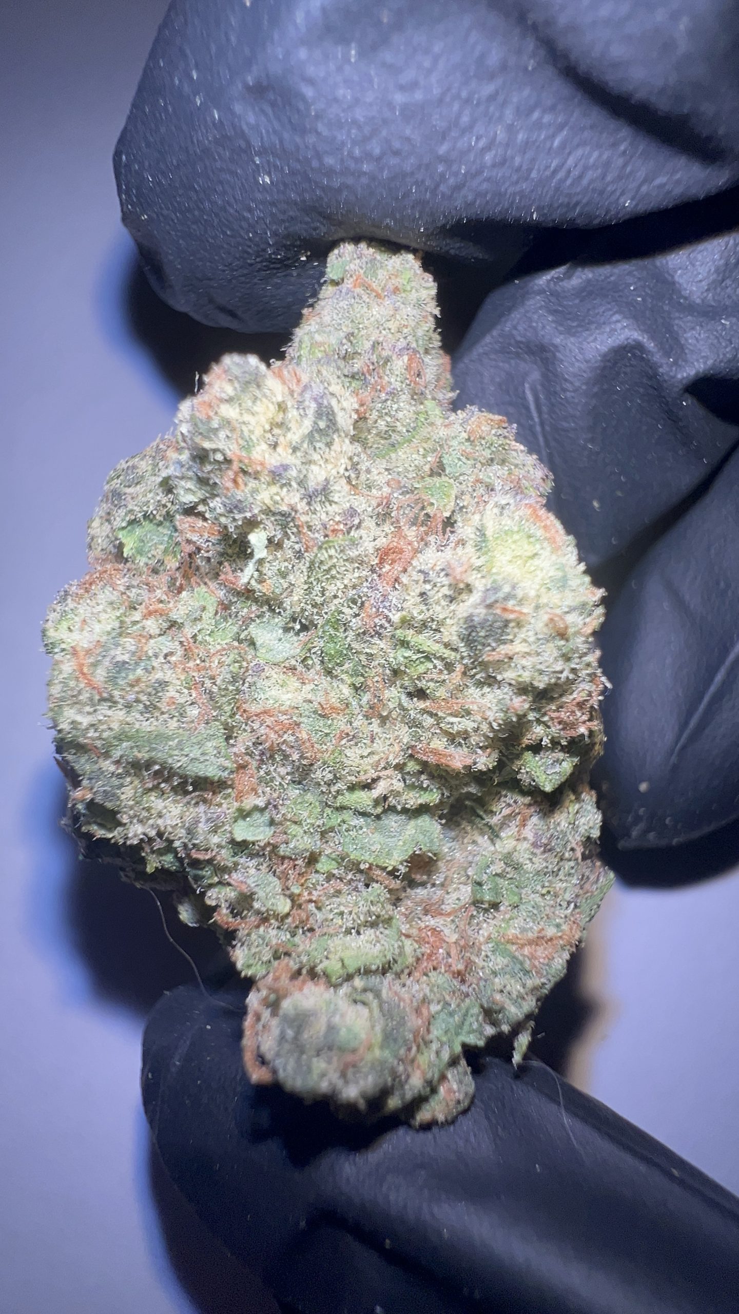 Z41 - THCA Flower (Hybrid)