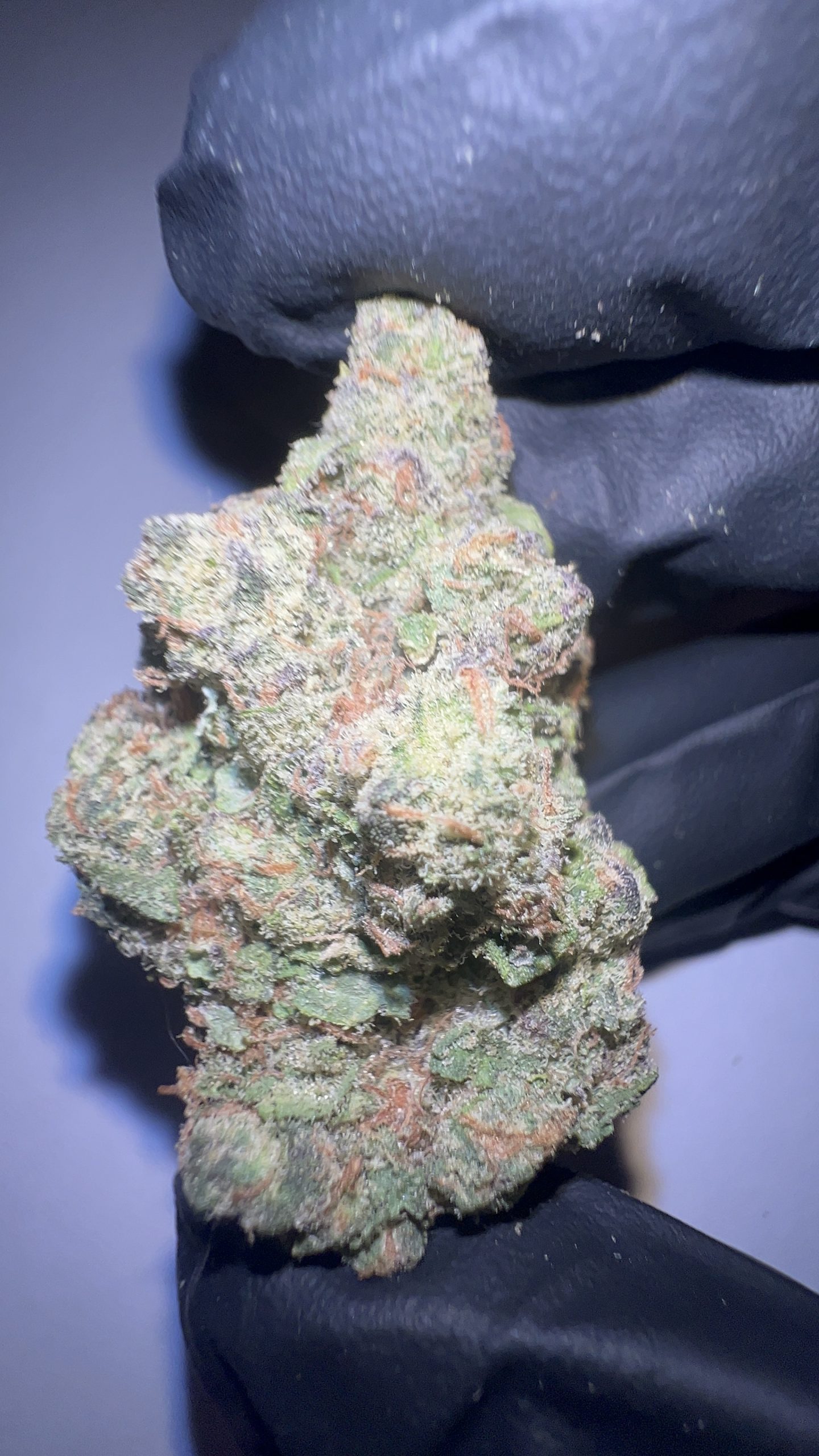 Z41 - THCA Flower (Hybrid) - Image 3