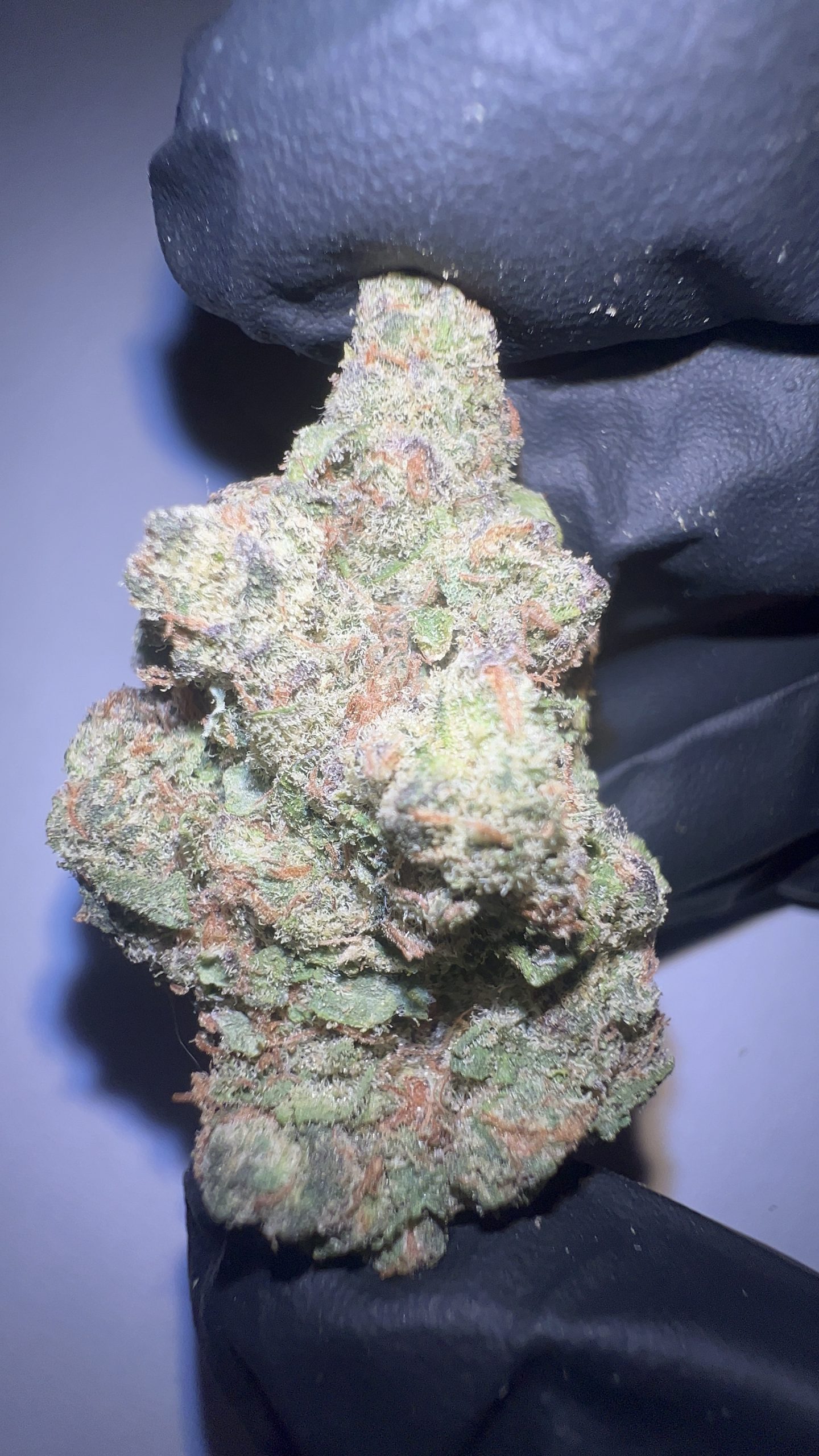 Z41 - THCA Flower (Hybrid) - Image 4