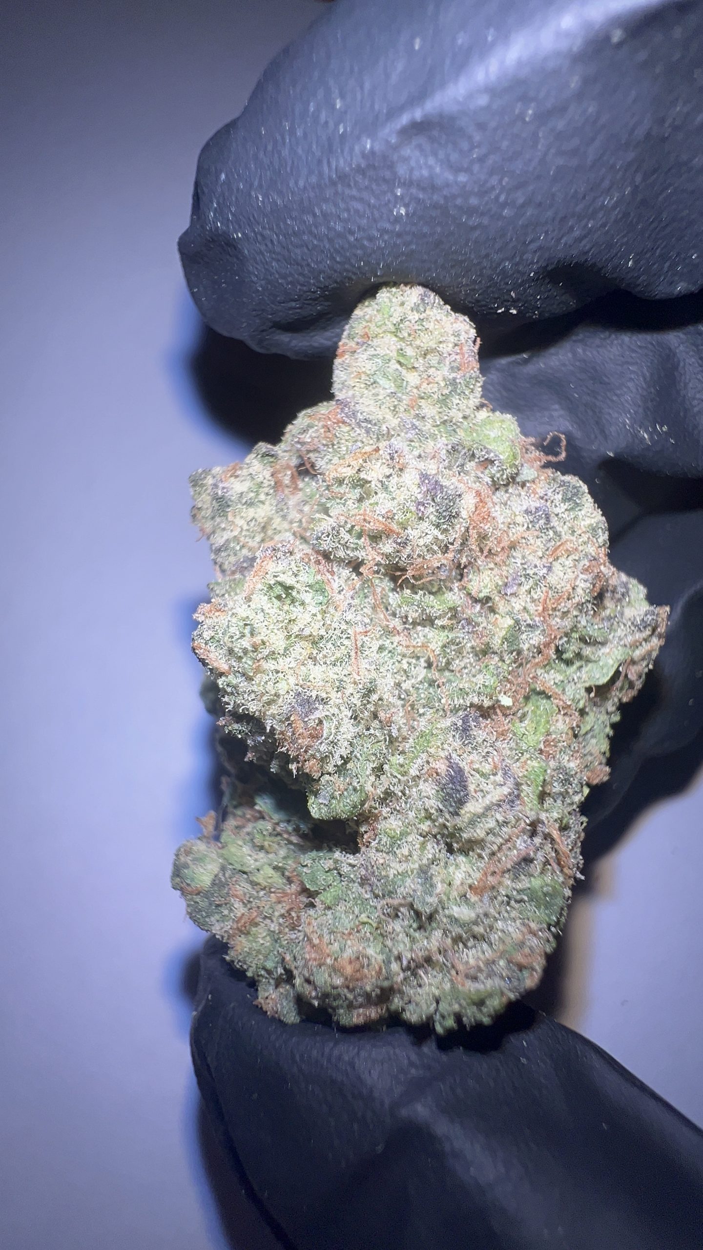 Z41 - THCA Flower (Hybrid) - Image 5