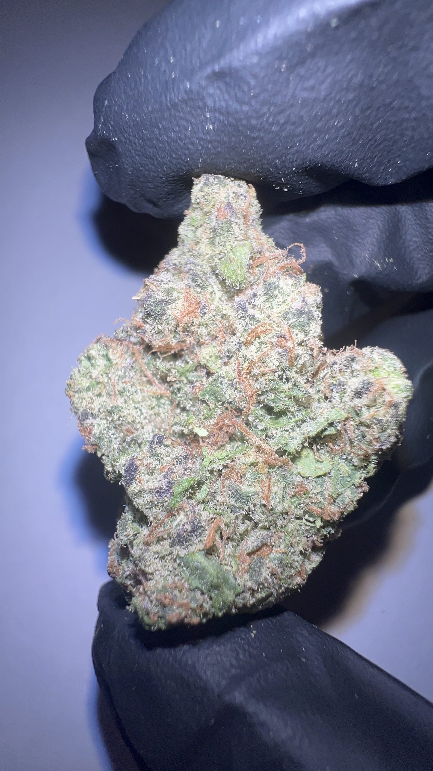 Z41 - THCA Flower (Hybrid) - Image 6