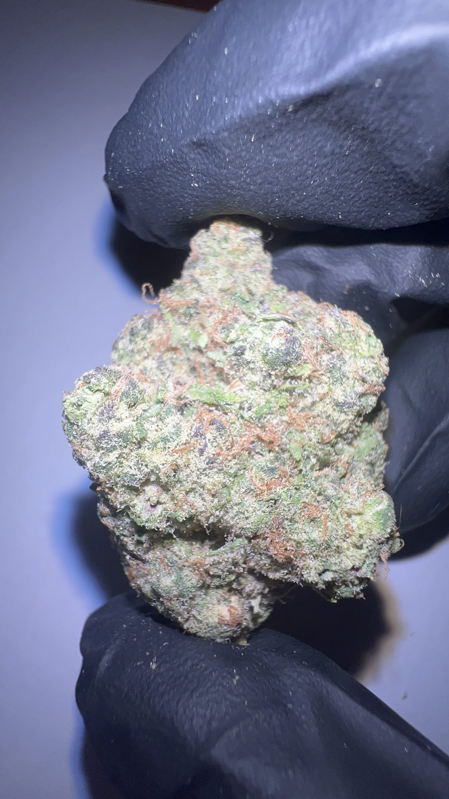 Z41 - THCA Flower (Hybrid) - Image 7