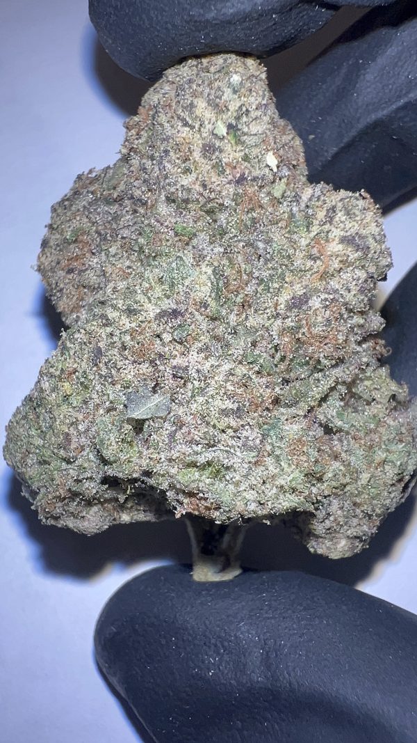 GMZ - THCA Flower (Hybrid)