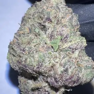 Afghan - THCA Flower (Indica)