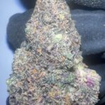 Blizzard Berry - THCA Flower (Indica)