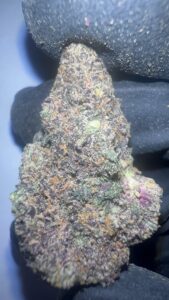 Blizzard Berry - THCA Flower (Indica)