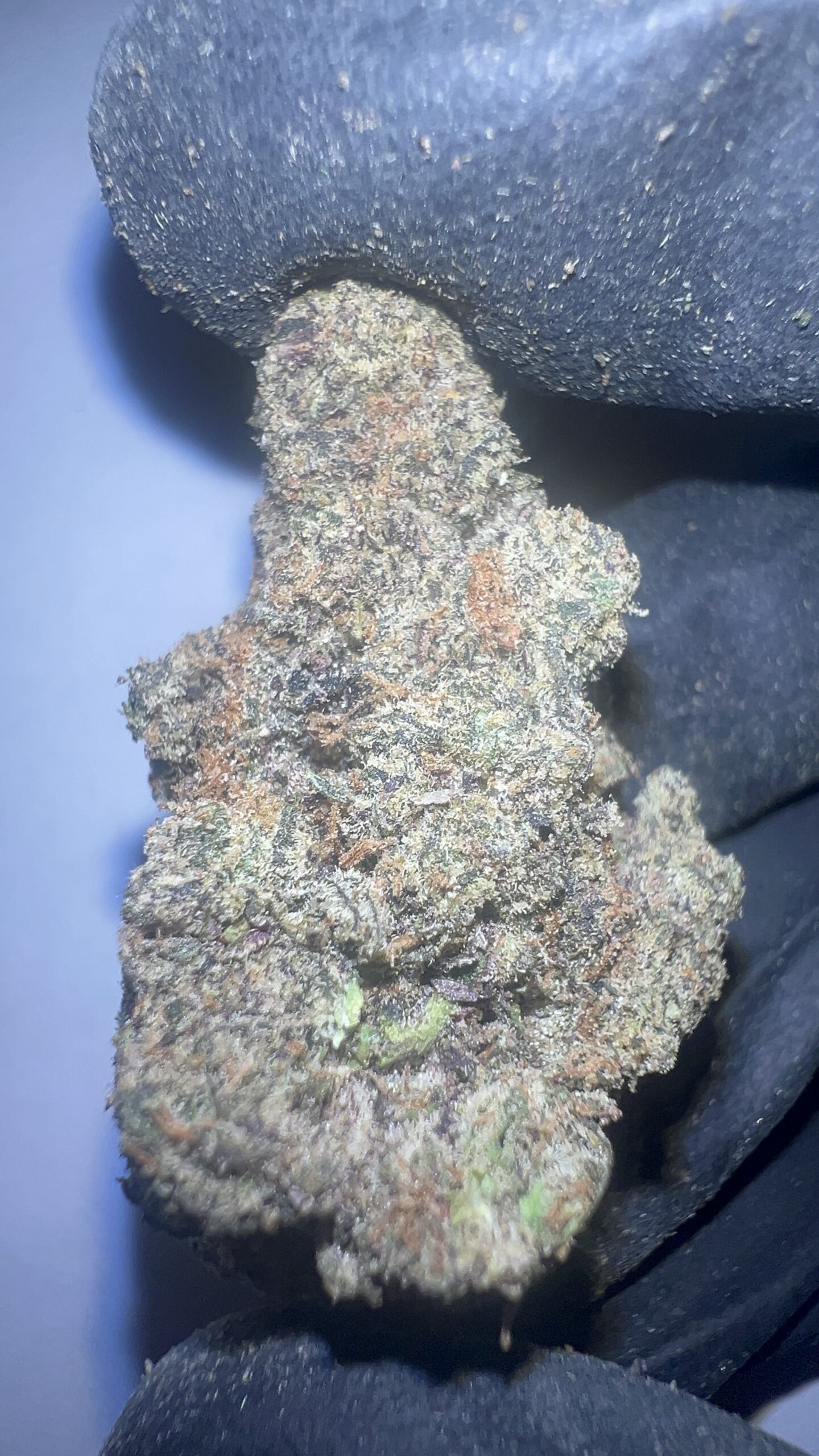 Blizzard Berry - THCA Flower (Indica) - Image 2