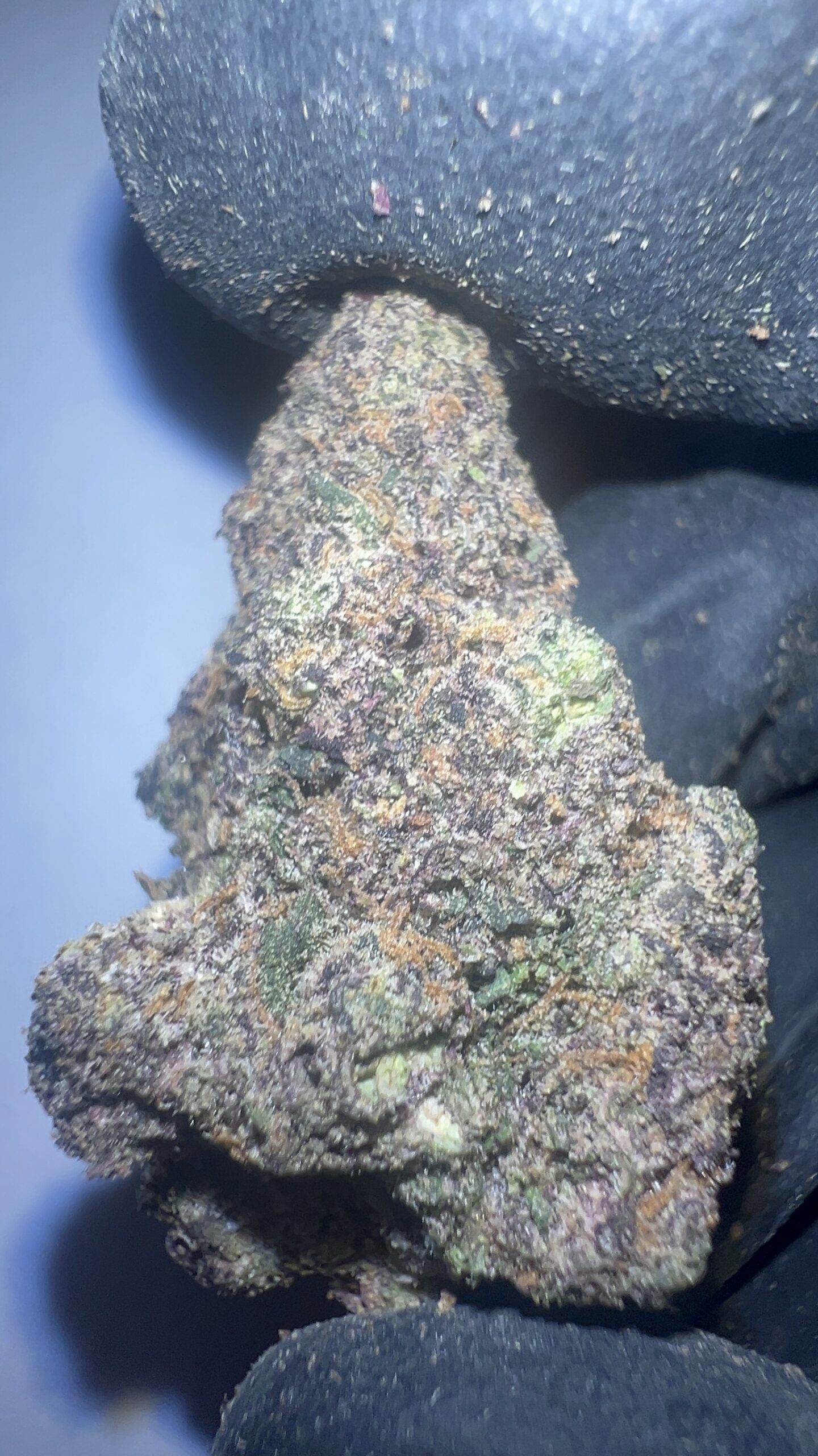 Blizzard Berry - THCA Flower (Indica) - Image 3