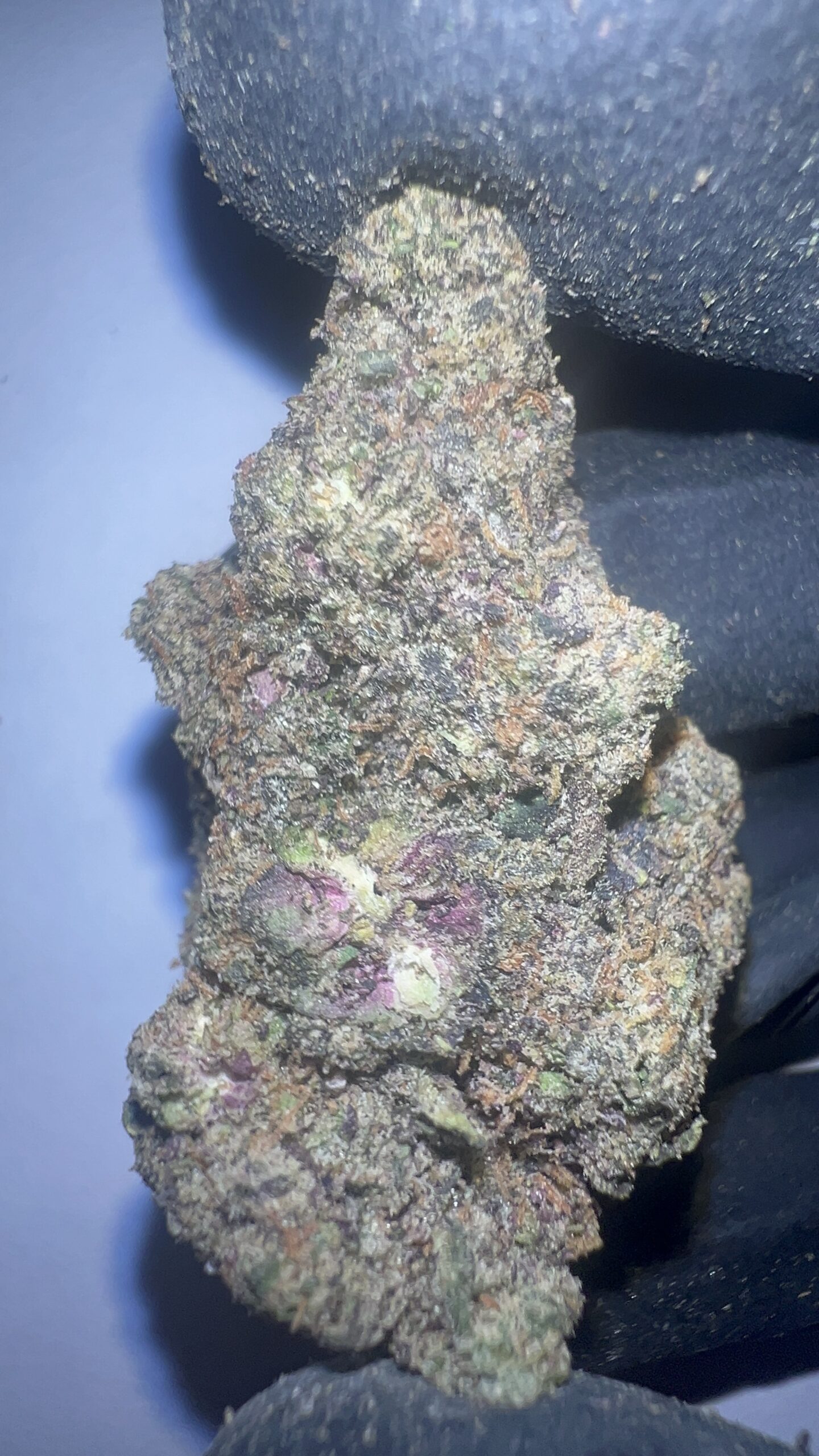 Blizzard Berry - THCA Flower (Indica) - Image 5