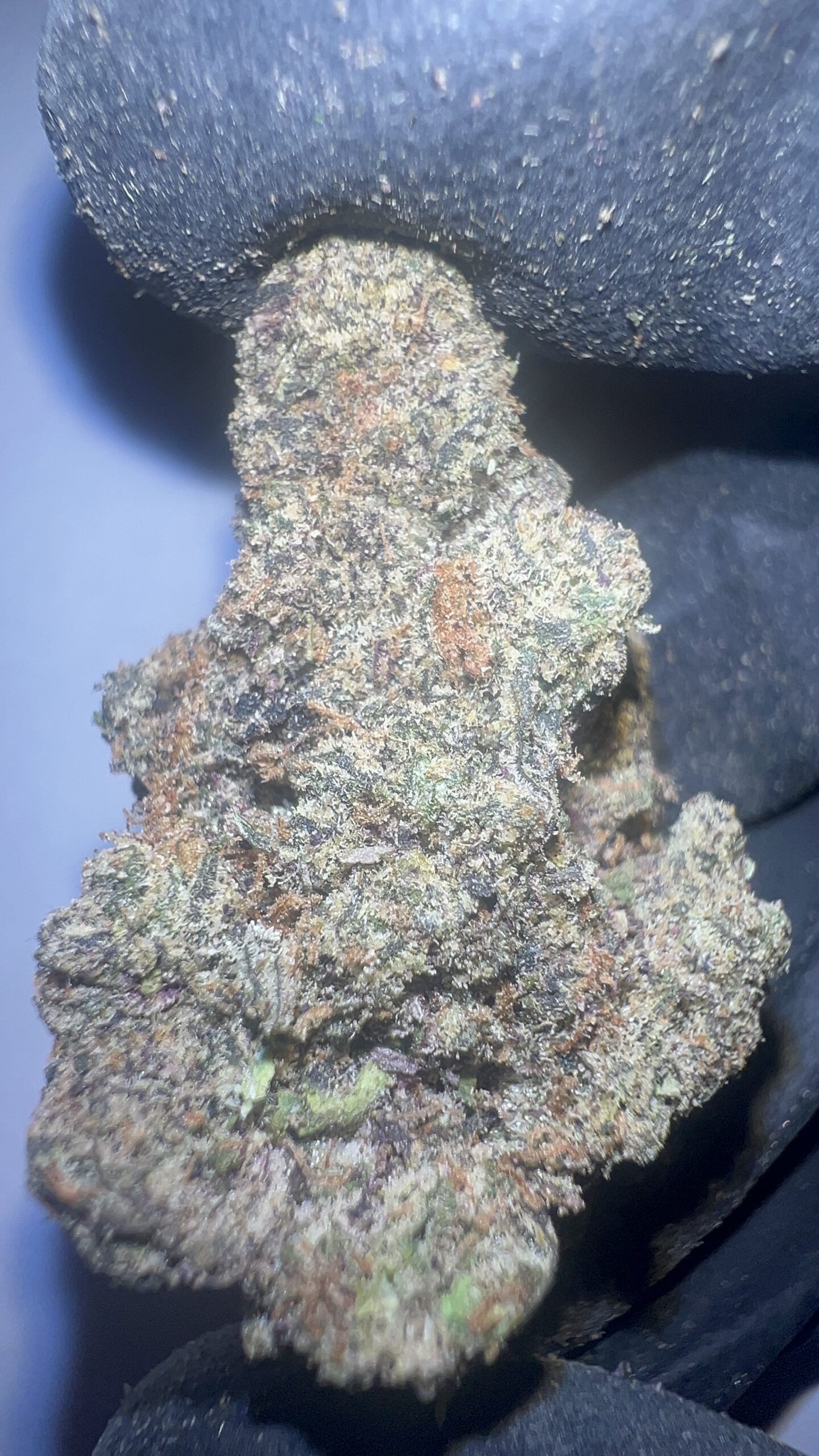 Blizzard Berry - THCA Flower (Indica) - Image 6
