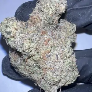 Lemon Pound Cake - THCA Flower (Sativa)