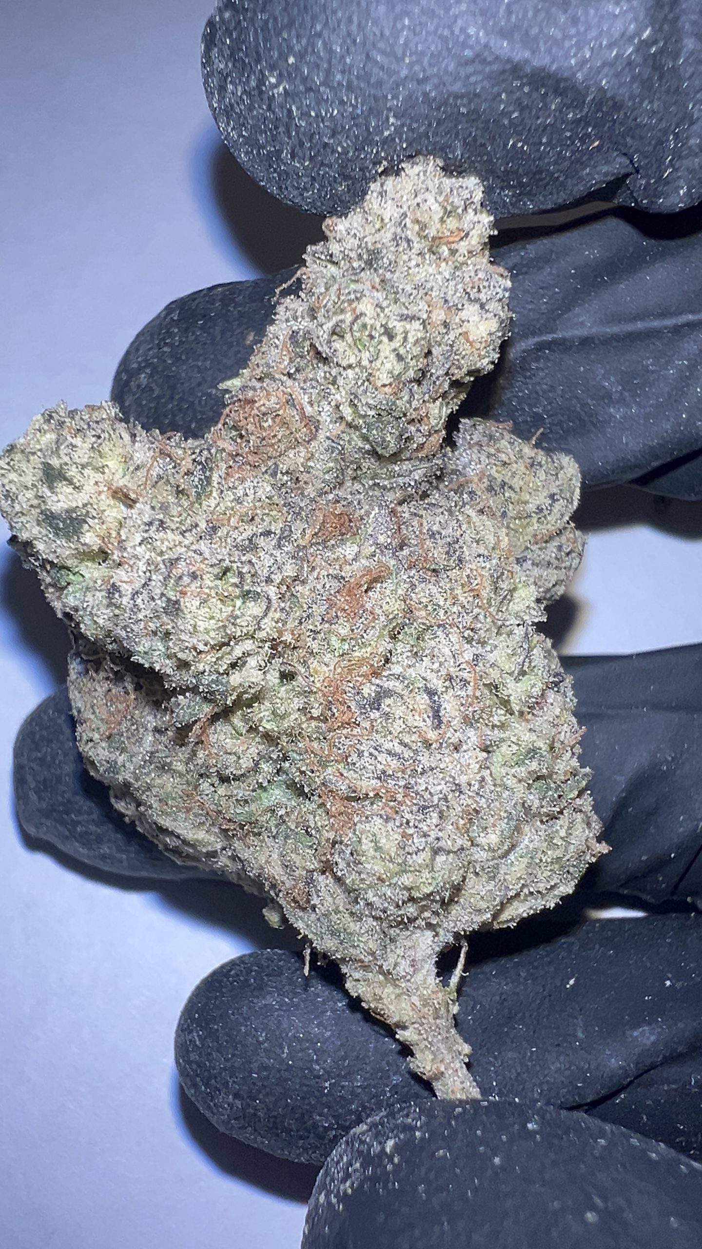 Lemon Pound Cake - THCA Flower (Sativa)