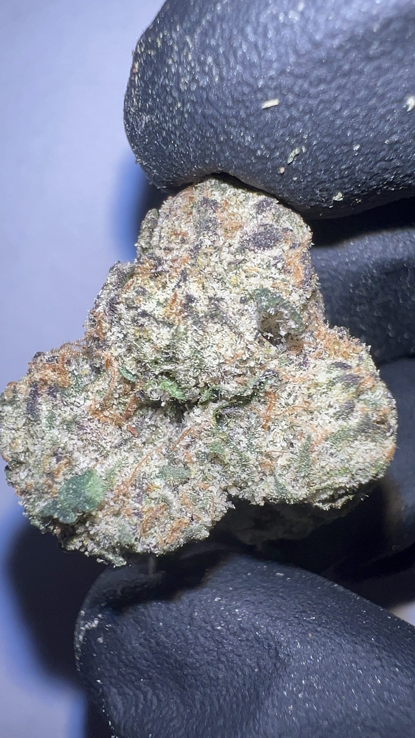 Super Runtz - THCA Flower (Hybrid) - Image 2