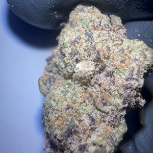 Apple Fritter - THCA Flower (Hybrid)