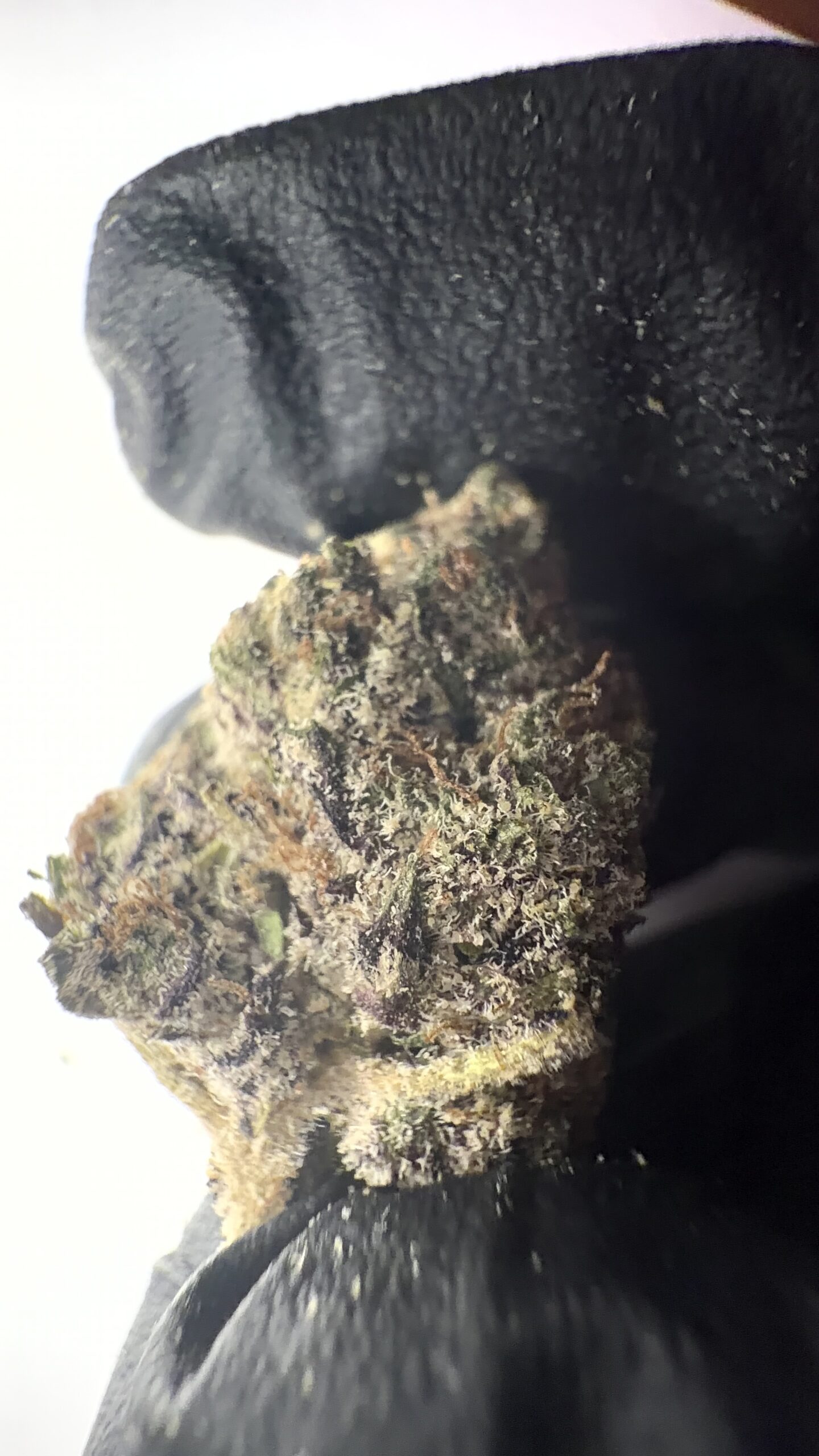 Apple Fritter - THCA Flower (Hybrid) - Image 3