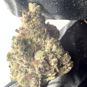 Apple Fritter - THCA Flower (Hybrid)