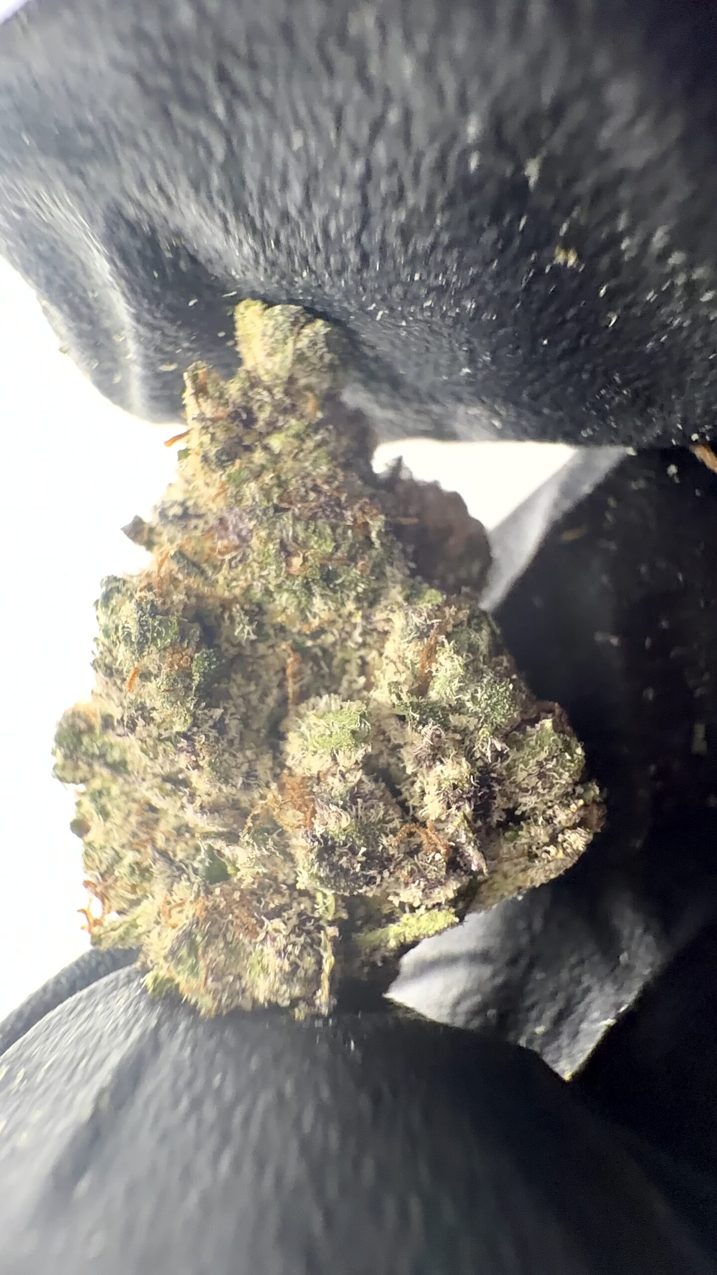 Apple Fritter - THCA Flower (Hybrid)