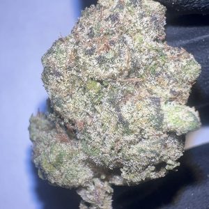 Gelato & Cream - THCA Flower (Hybrid)