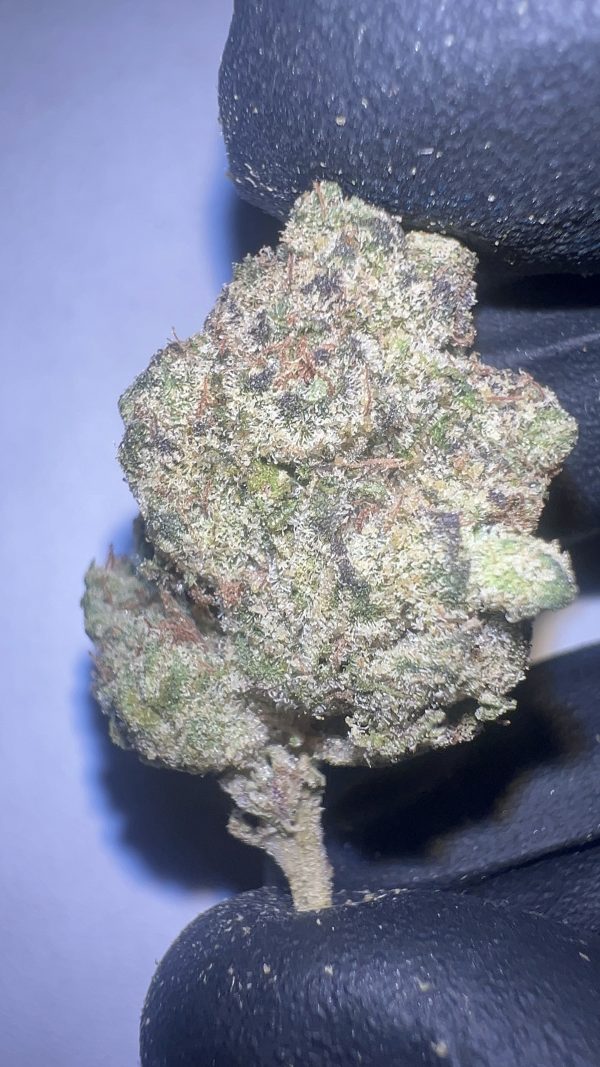 Gelato & Cream - THCA Flower (Hybrid)