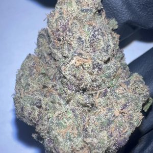 Permanent Marker - THCA Flower (Indica)