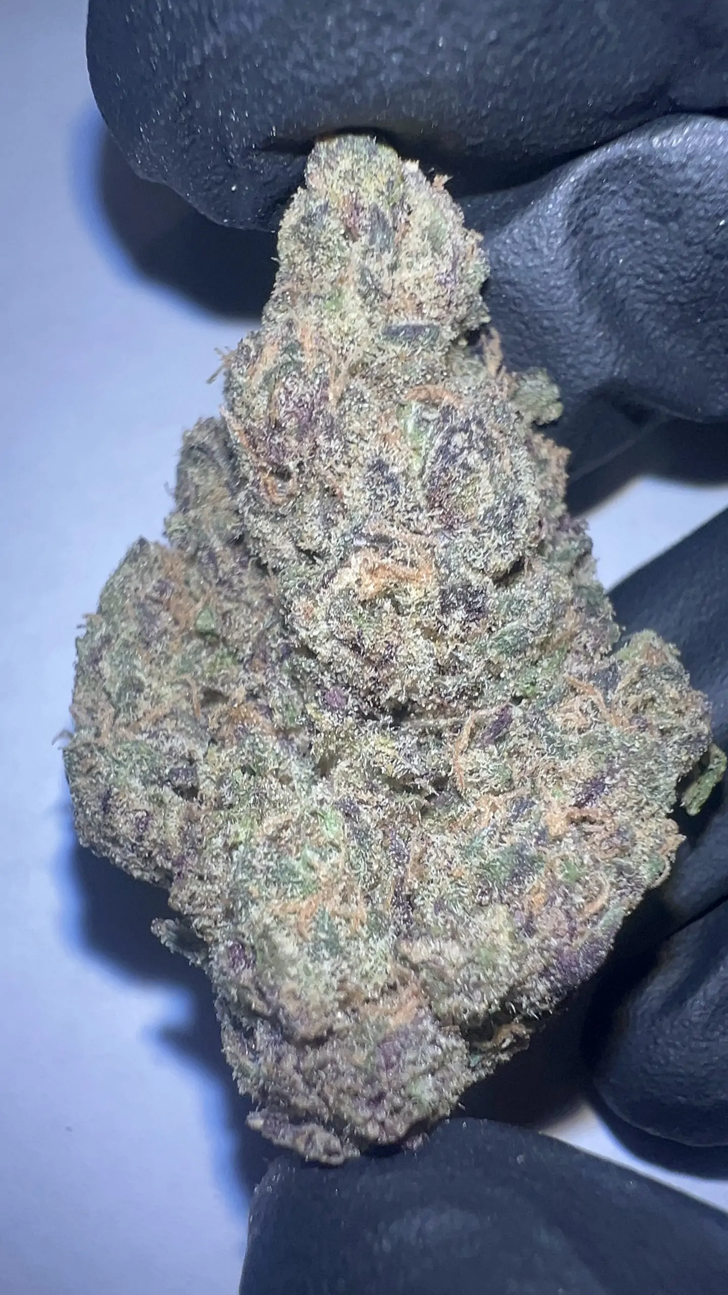 Permanent Marker - THCA Flower (Indica)