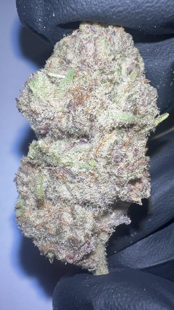 Purple Haze - THCA Flower (Sativa)