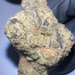 Tangerine Dream - THCA Flower (Sativa)