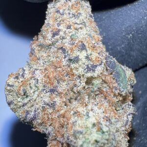 Tangerine Dream - THCA Flower (Sativa)