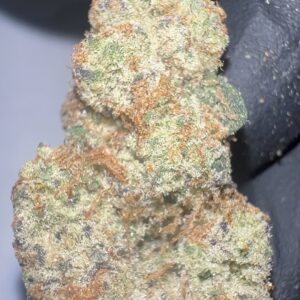 Tangerine Dream - THCA Flower (Sativa)