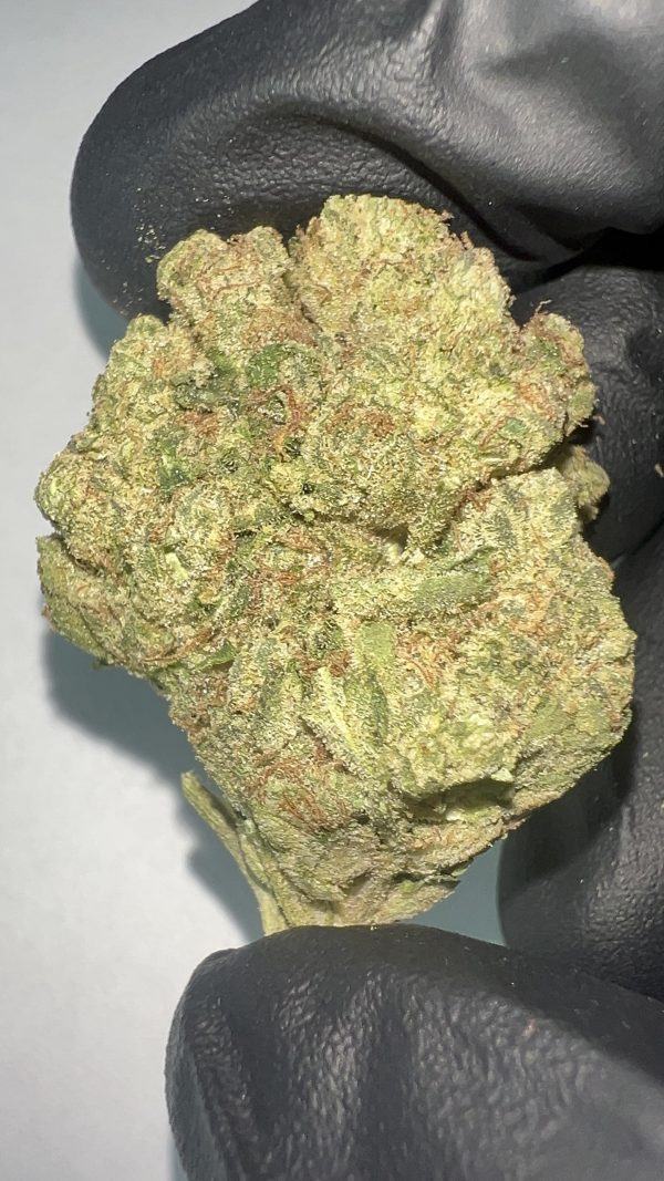 Wonderbread - Light Assist THCA Flower (Hybrid) - Image 2