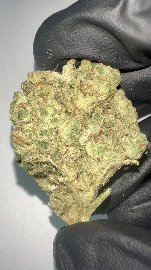 Wonderbread - Light Assist THCA Flower (Hybrid)
