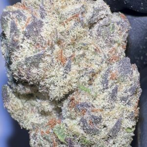 Purple Dream - THCA Flower (Indica)