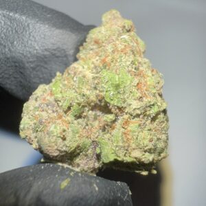 Blue Mammoth - Texas-Grown THCA Flower (Hybrid)