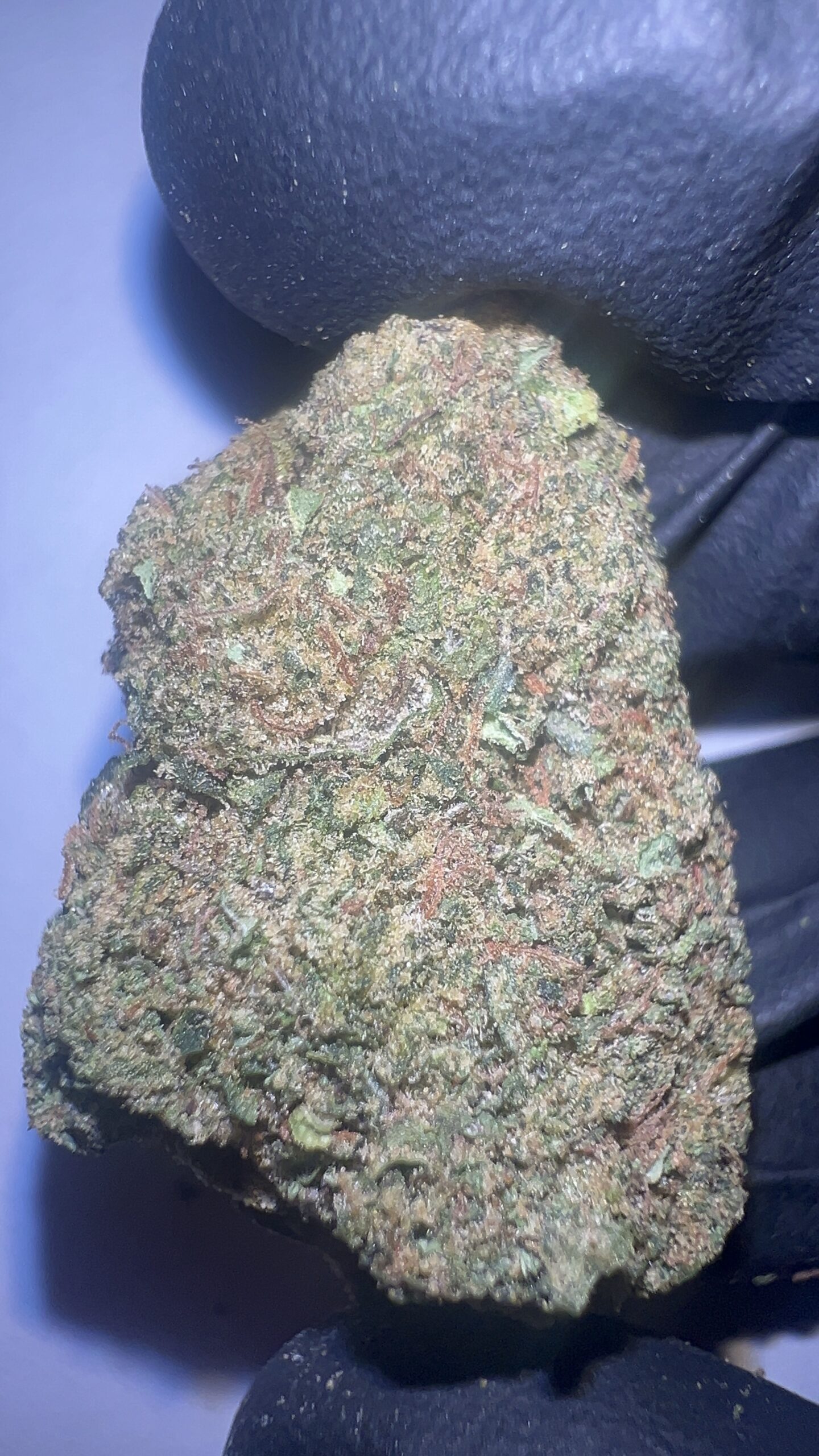 Jokerz Candy - Light Assist THCA Flower (Hybrid) - Image 2