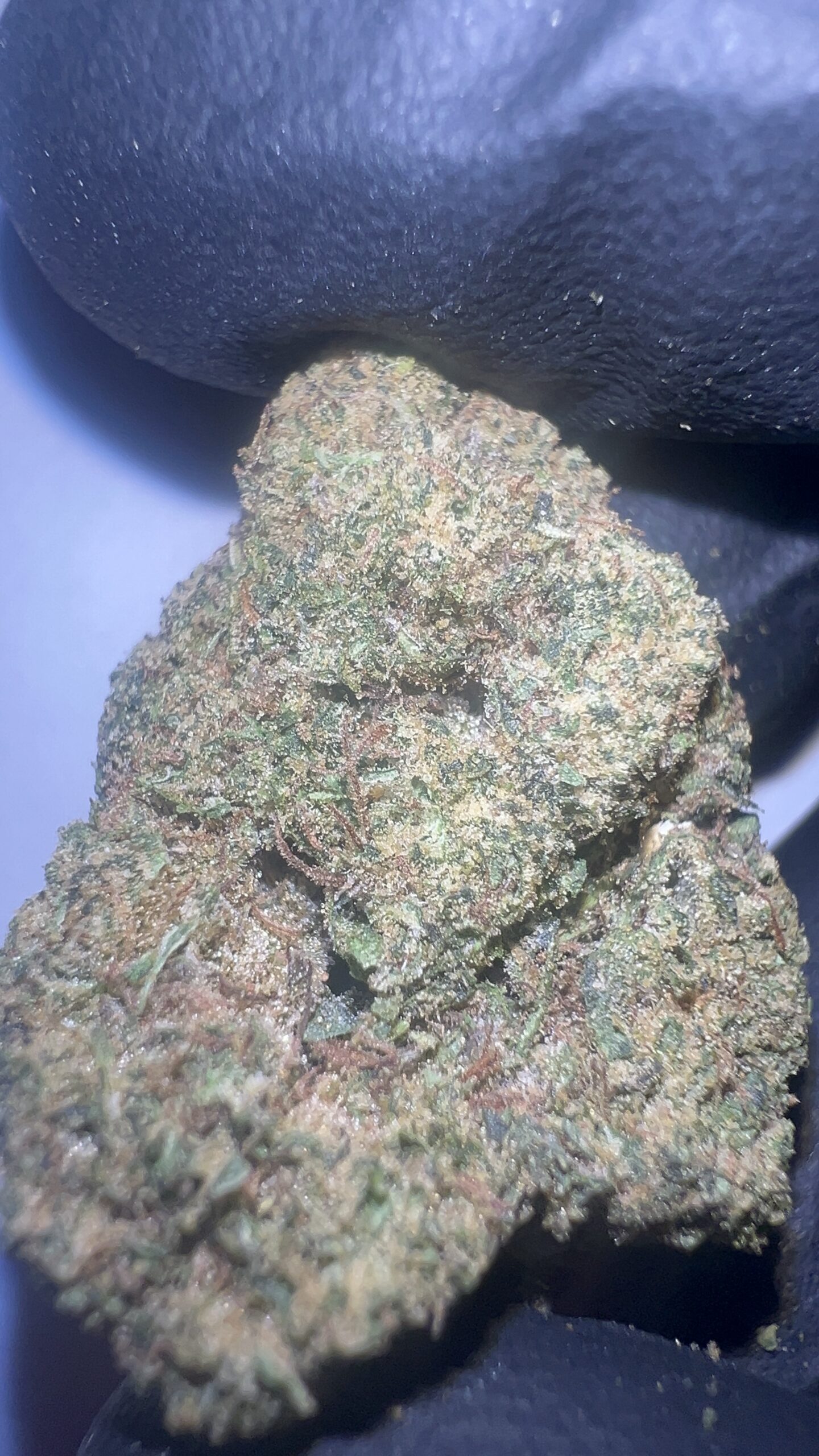 Jokerz Candy - Light Assist THCA Flower (Hybrid) - Image 3
