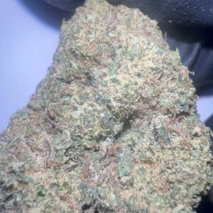 Jokerz Candy - Light Assist THCA Flower (Hybrid)