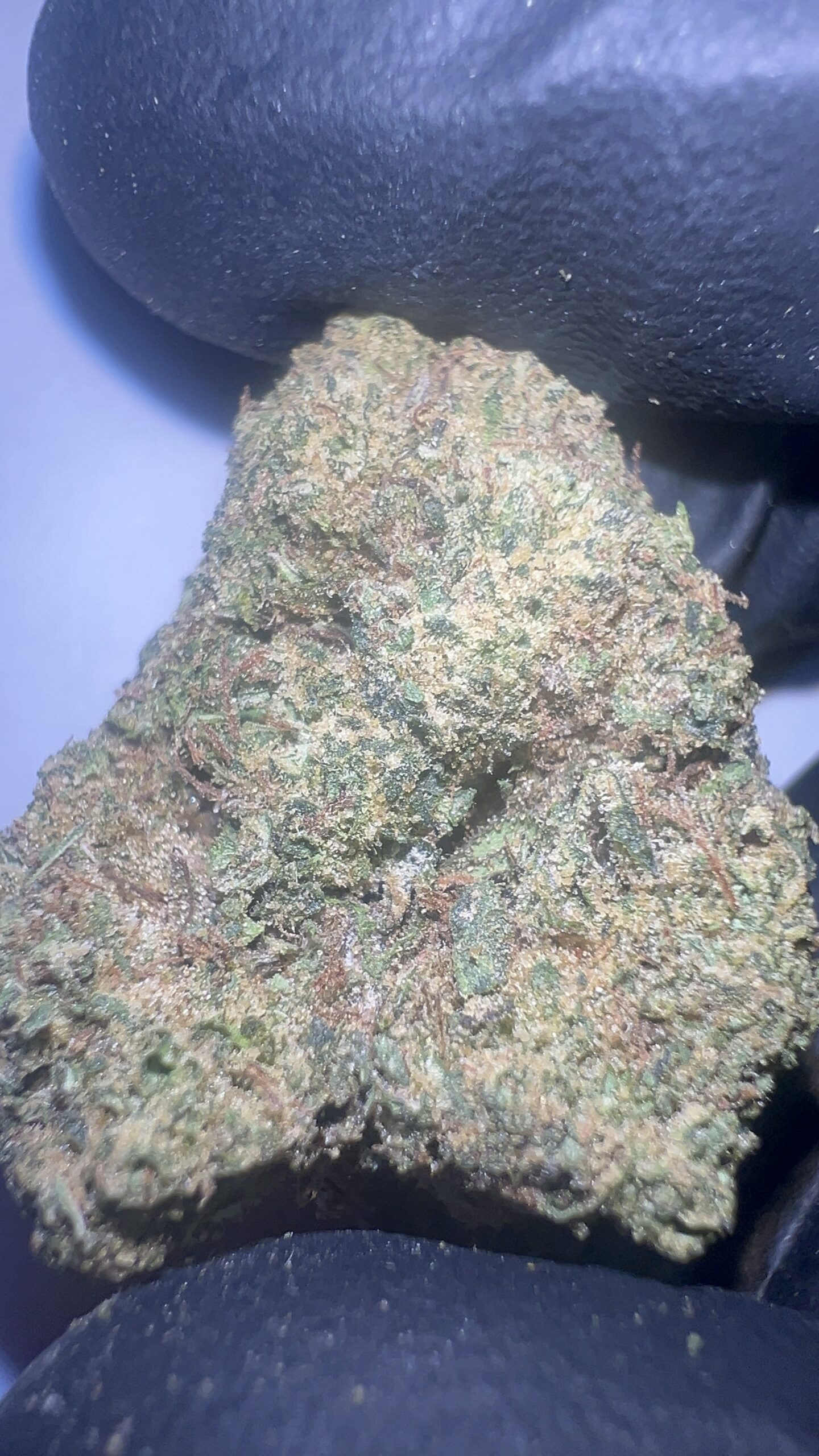 Jokerz Candy - Light Assist THCA Flower (Hybrid)