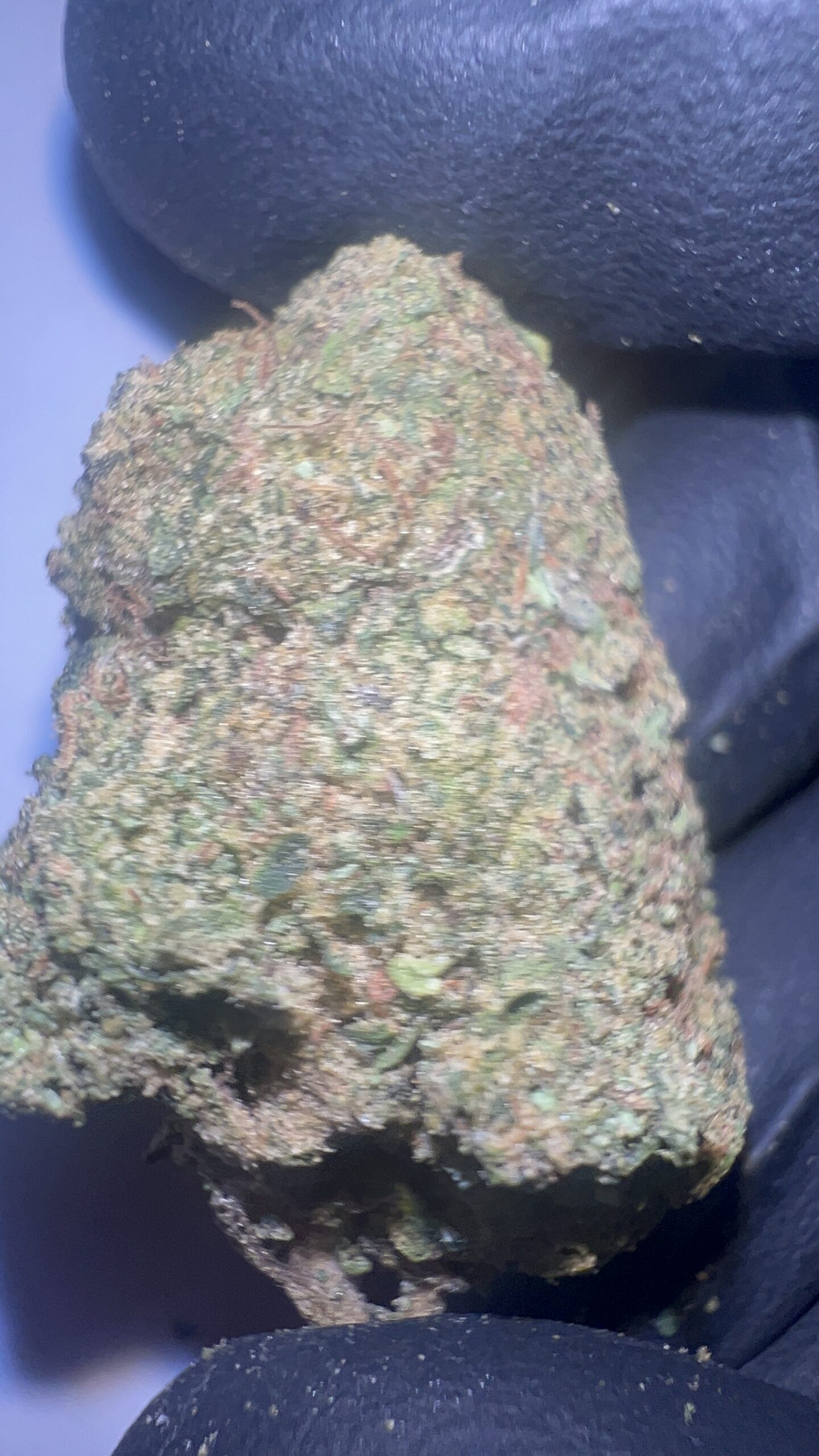 Jokerz Candy - Light Assist THCA Flower (Hybrid) - Image 4