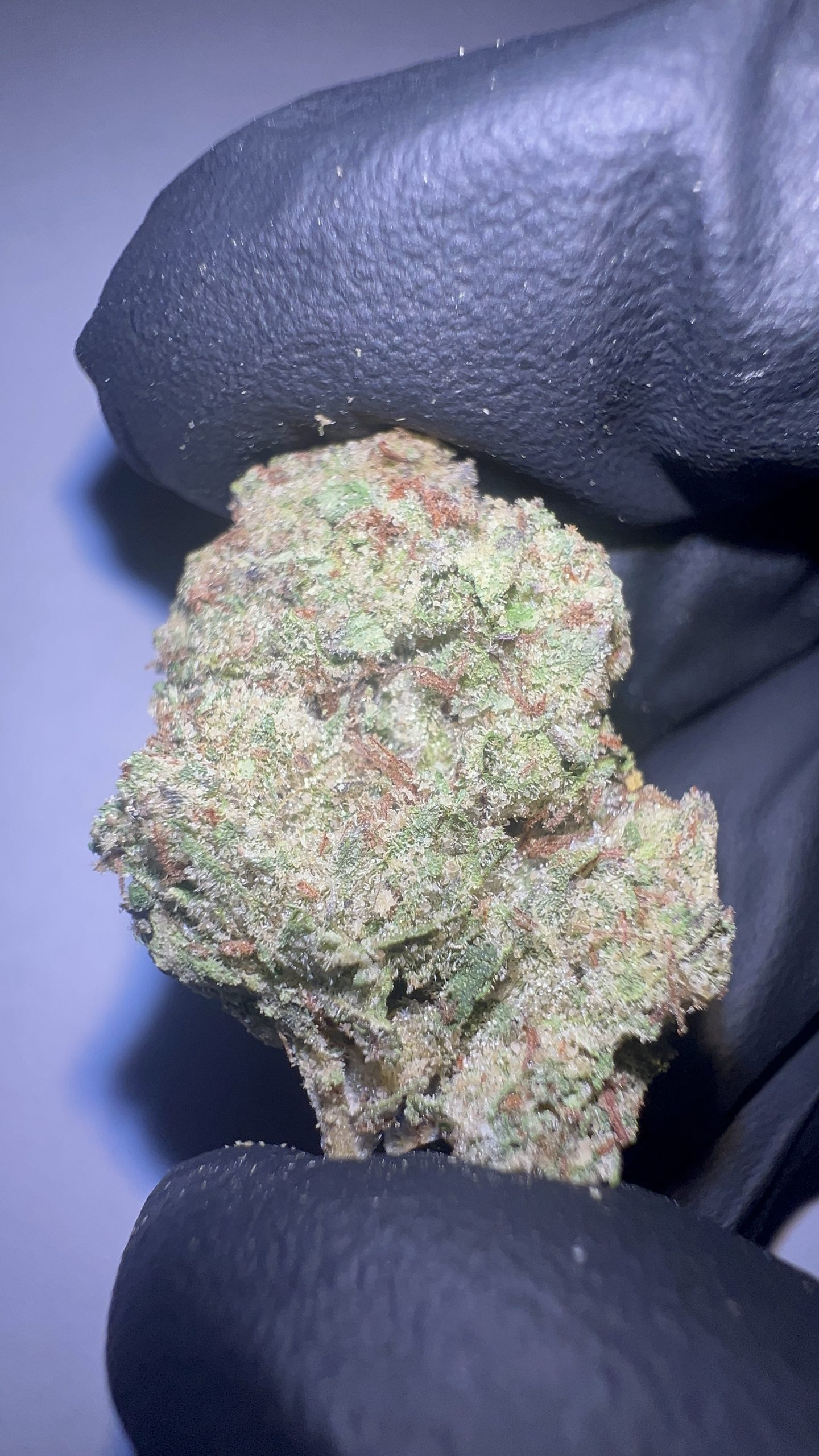 Lemon Cherry Gelato - Light Assist THCA Flower (Hybrid)