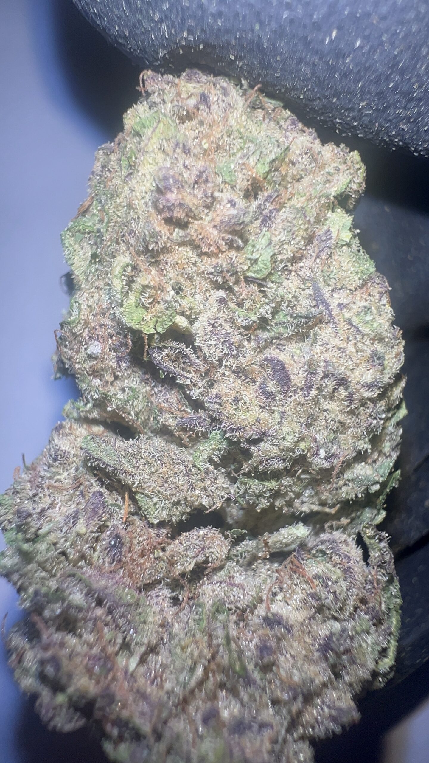Peanut Butter Breath - Light Assist THCA Flower (Indica) - Image 2