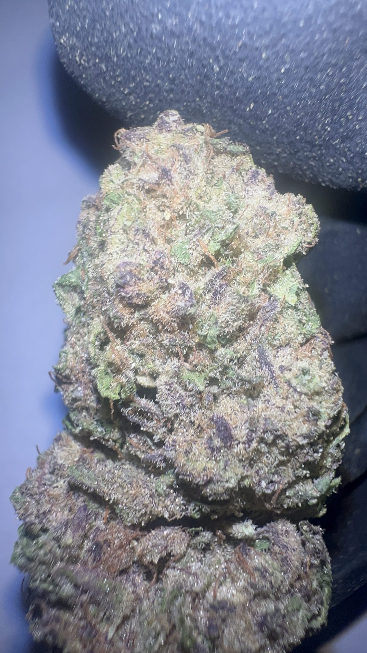 Peanut Butter Breath - Light Assist THCA Flower (Indica)